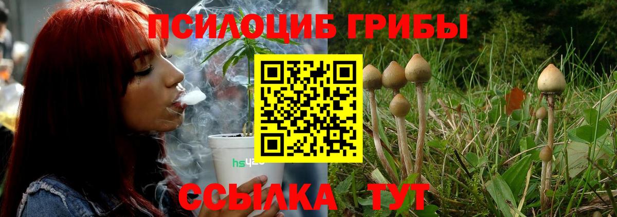 Псилоцибиновые грибы GOLDEN TEACHER  Вход с VPN  Татарск 
